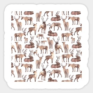 Deer Sticker